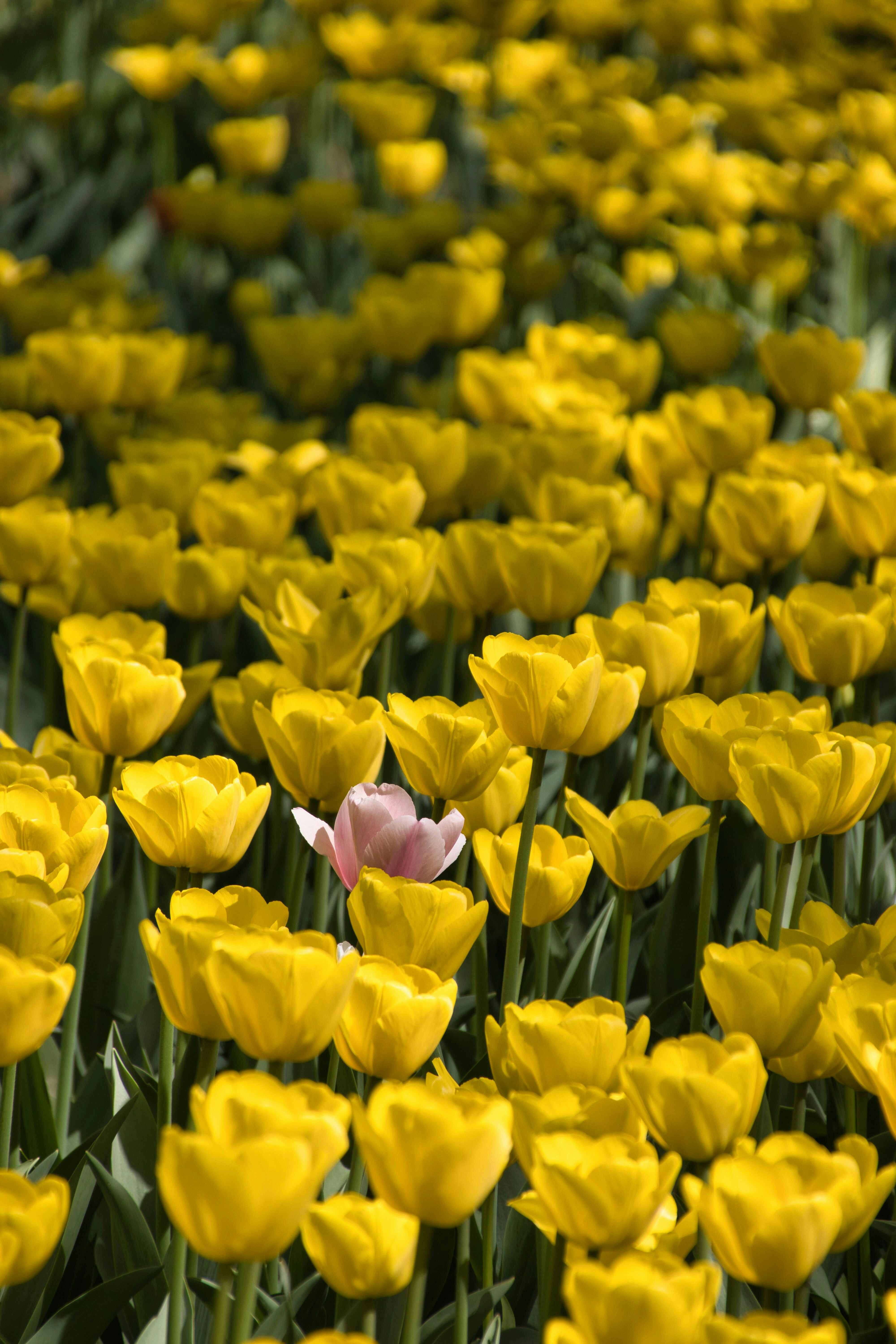 Learning to be myself: Why individuality matters to me.