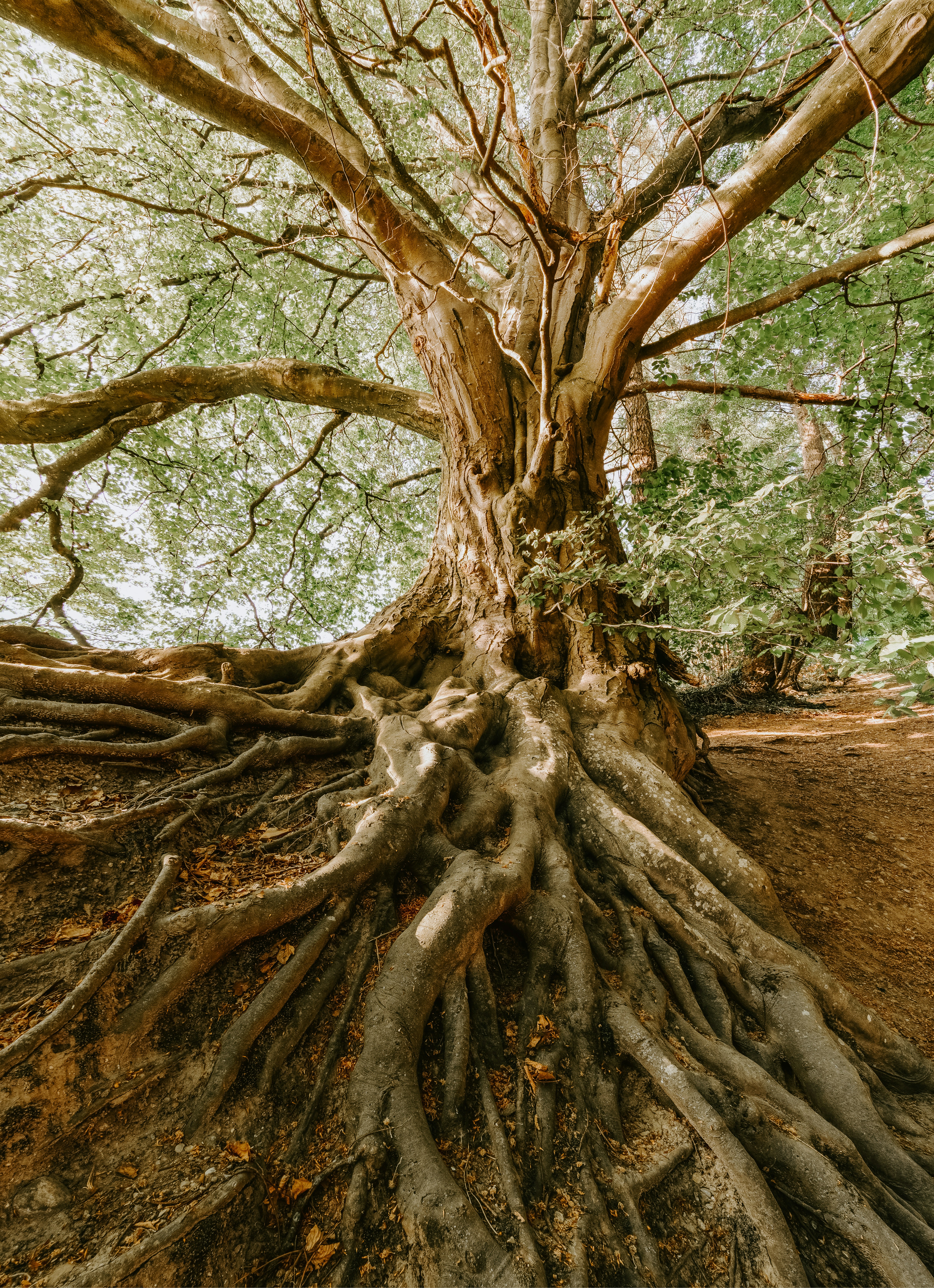 Does the past really affect our lives?